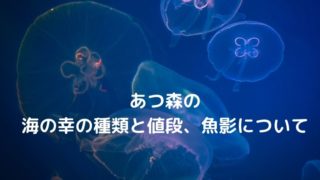 あつ森でオオシャコガイが取れない 捕まえ方の3つのコツとは Oayublog